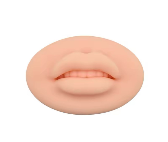 Labios de práctica para micropigmentacion
